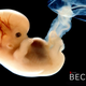 Illustration for article titled Michelle Obama ‘Becoming’ Netflix Documentary Spends First Hour On Embryonic Stage